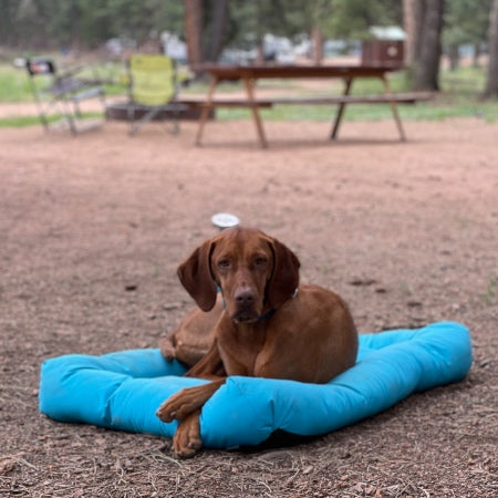 Cycle Dog | Waterproof Bed