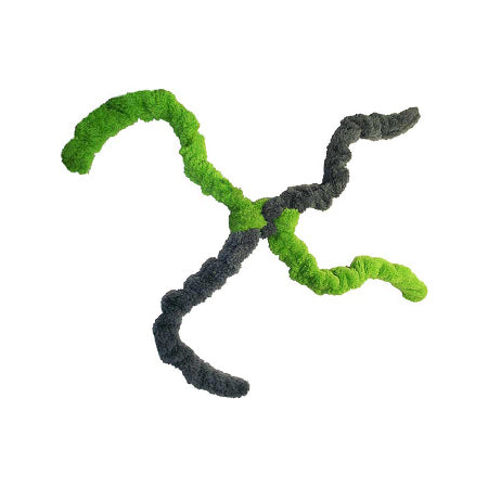 Cycle Dog | Springy Thing