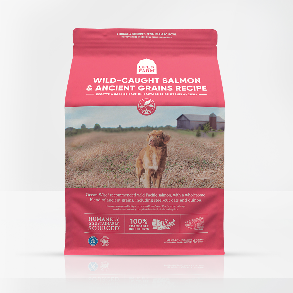 Open Farm | Salmon