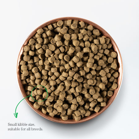 Open Farm | Beef
