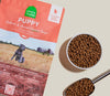 Open Farm | Salmon | Puppy
