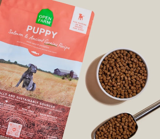 Open Farm | Salmon | Puppy