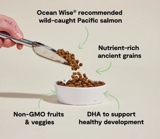Open Farm | Salmon | Puppy