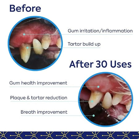 TEEF | Dental Powder