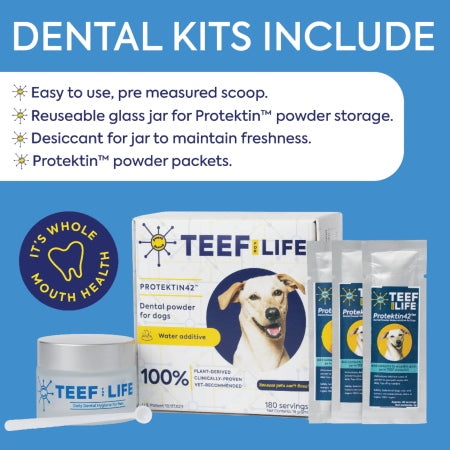 TEEF | Dental Powder