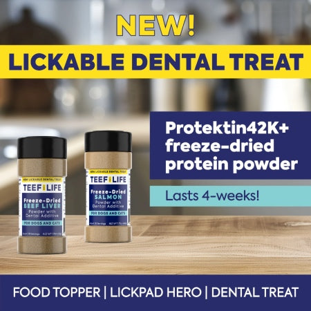 TEEF | Dental Treat Powder
