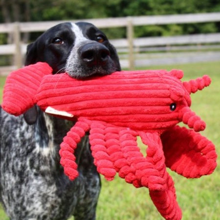 Tall Tails | Crunch Lobster