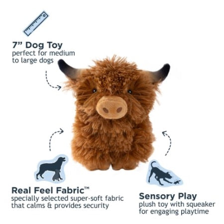 Tall Tails | Highland Cow
