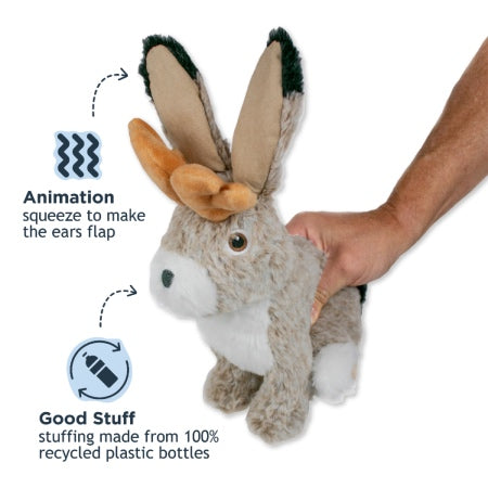 Tall Tails | Jackalope