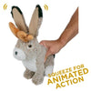 Tall Tails | Jackalope
