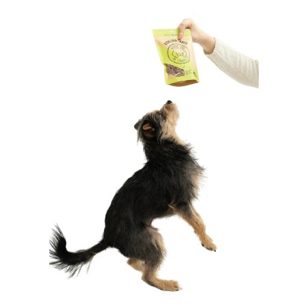 Winnie Lou | Bison Liver