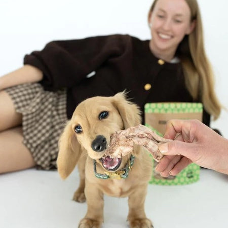 Winnie Lou | Bison Tendon