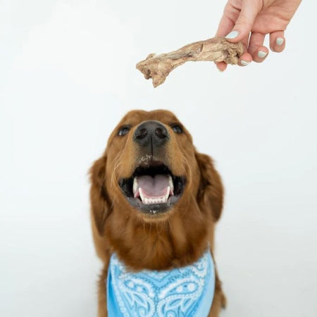 Winnie Lou | Bison Tendon