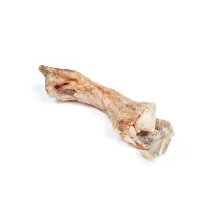 Winnie Lou | Bison Tendon