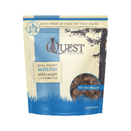 Quest | Cat | Whitefish